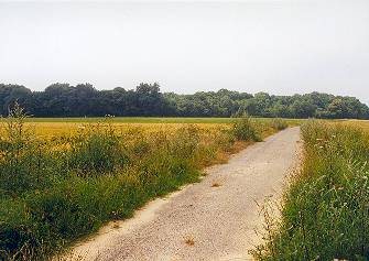 highwood-000