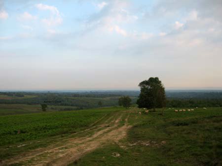 Distant
